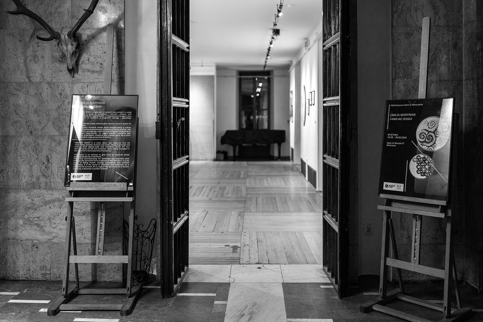 Polish Academy of Sciences Museum of the Earth in Warsaw, photo P. Kotas